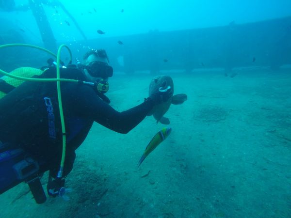 Scegliere il fucile pneumatico giusto per la pesca subacquea